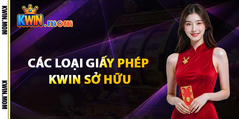Các Loại Giấy Phép Kwin Sở Hữu